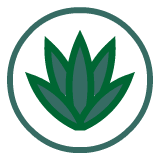 Agave icon