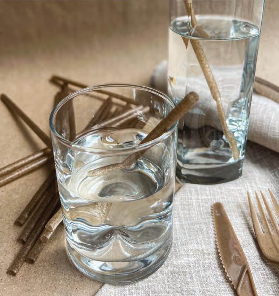 Popotes biodegradables compostables