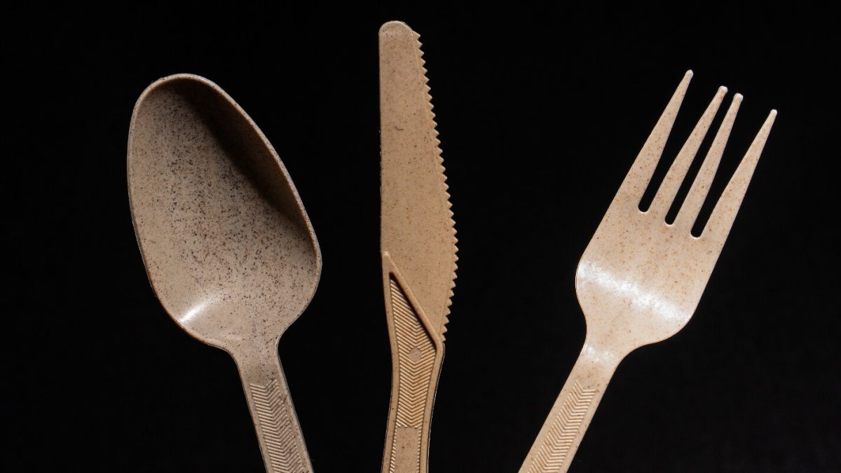 Biodegradable disposable cutlery